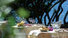 Is Morus Relais 